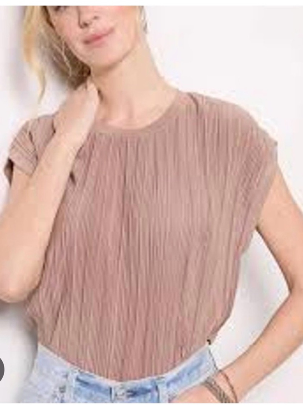 Evereve Mia Plisse Pleated Top in Taupe